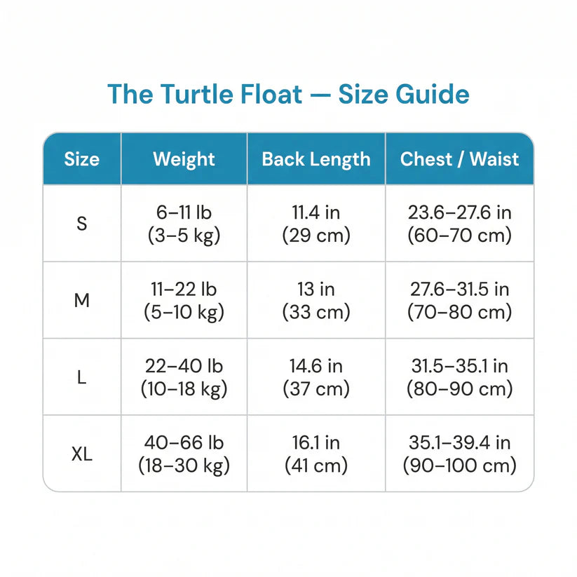 The Turtle Float