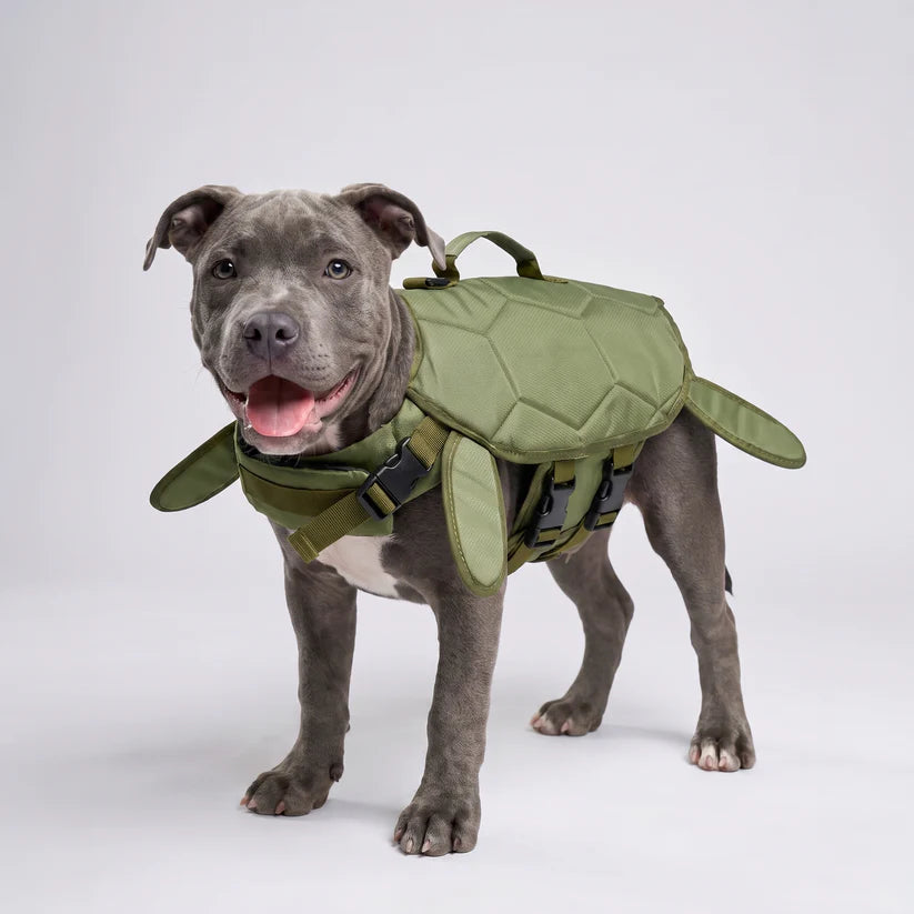 The Turtle Float